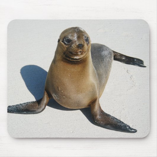 Lächeln Mousepad (Vorne)