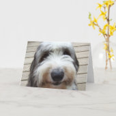Lächeln Old English Sheepdog Card Karte (Gelbe Blume)