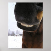 Lächeln Poster (Vorne)