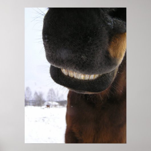 Lächeln Poster (Vorne)