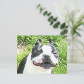 Lächeln Postkarte (Stehend Vorderseite)