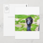 Lächeln Postkarte (Vorne/Hinten)