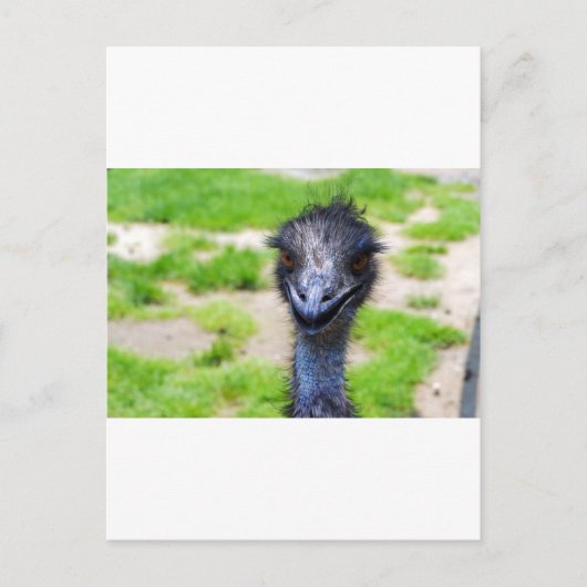 Lächeln Postkarte (Vorderseite)