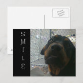 LÄCHELN POSTKARTE (Vorne/Hinten)