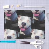 Lächeln Seidenpapier (Handwerk)