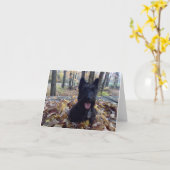 Lächeln Sie die Herbstkarte. Karte (Gelbe Blume)