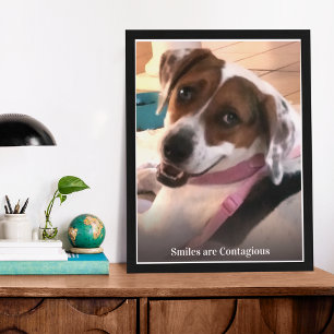 Lächeln sind ansteckende lächelnde Hunde Fotodruck
