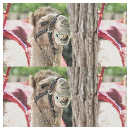 Lächeln Stoff (Nahaufnahme)