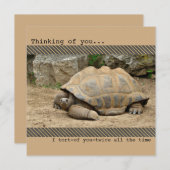 Lächeln Tortoise Denken Sie an Sie Dankeskarte (Vorne/Hinten)