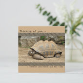 Lächeln Tortoise Denken Sie an Sie Dankeskarte (Stehend Vorderseite)