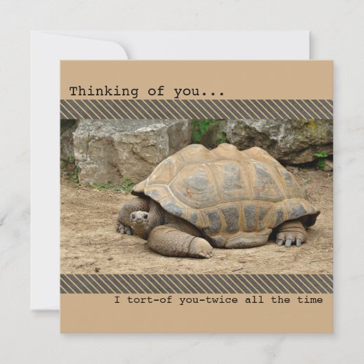 Lächeln Tortoise Denken Sie an Sie Dankeskarte (Vorderseite)