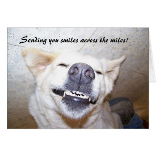 Lächeln über der Meilenkarte