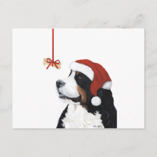Lächeln Weihnachten