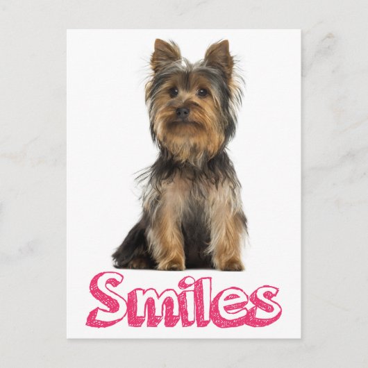 Lächeln Yorkshire Terrier Welpe Doppy Blank Post C Postkarte (Vorderseite)