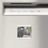 Lächeln Zebra Magnet (In Situ (Geschirrspüler))