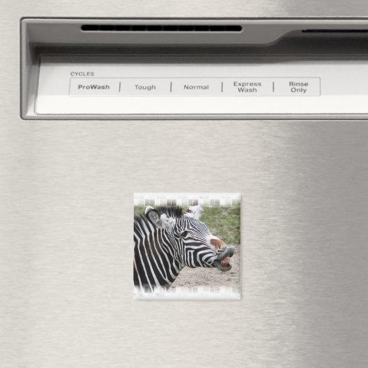 Lächeln Zebra Magnet (In Situ (Geschirrspüler))