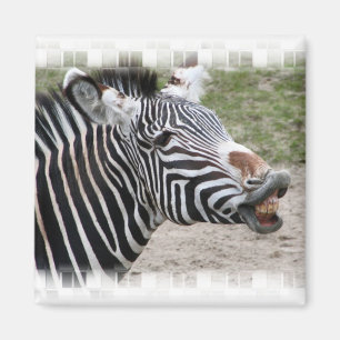 Lächeln Zebra Magnet