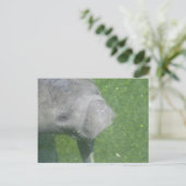 Lächelnasse Tierwasser-Foto Postkarte (Stehend Vorderseite)