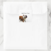 Lächelnd Bulldog Quadratischer Aufkleber (Tasche)