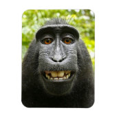 Lächelnd Crested Celebes Macaque Monkey Magnet (Vertikal)