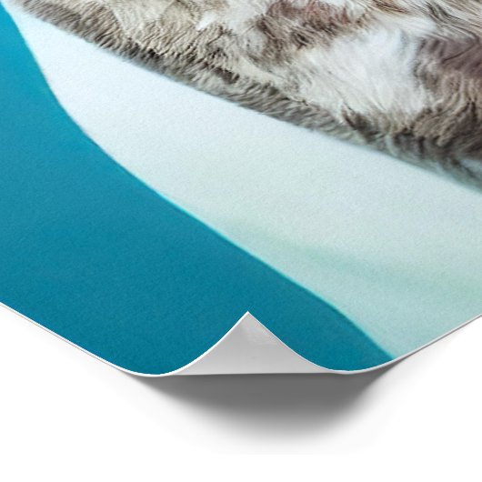 Lächelnd deutsch kurzhaariger Pointer Fedora Hat G Poster (Ecke)