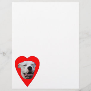 Lächelnd Dogo Argentino