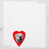 Lächelnd Dogo Argentino (Vorne/Hinten)