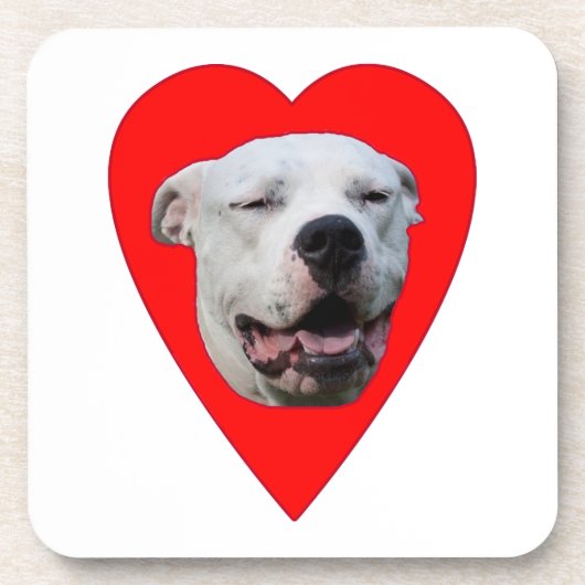 Lächelnd Dogo Argentino Untersetzer (Vorderseite)