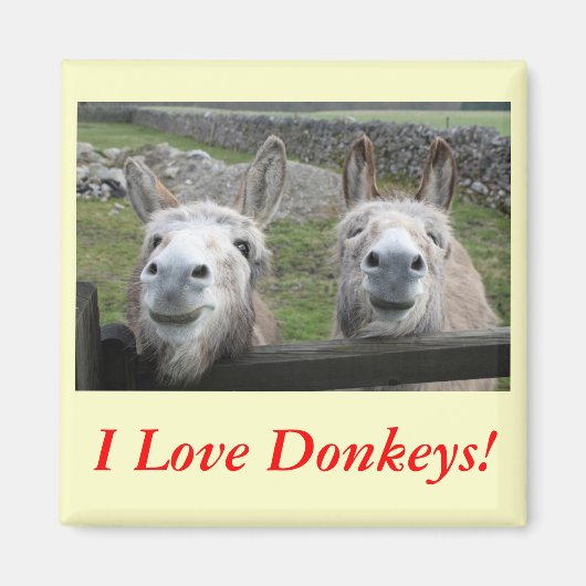 Lächelnd Donkeys! Magnet (Vorne)