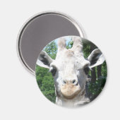 Lächelnd Giraffe Magnet (Vorderseite/Rückseite)