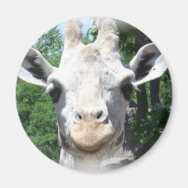 Lächelnd Giraffe Magnet