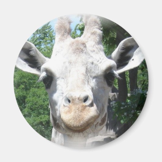 Lächelnd Giraffe Magnet (Vorne)