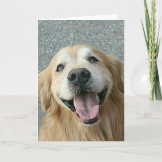 Lächelnd Golden Retriever Danke (Vorderseite)