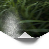 Lächelnd Golden Retriever Fotodruck (Ecke)