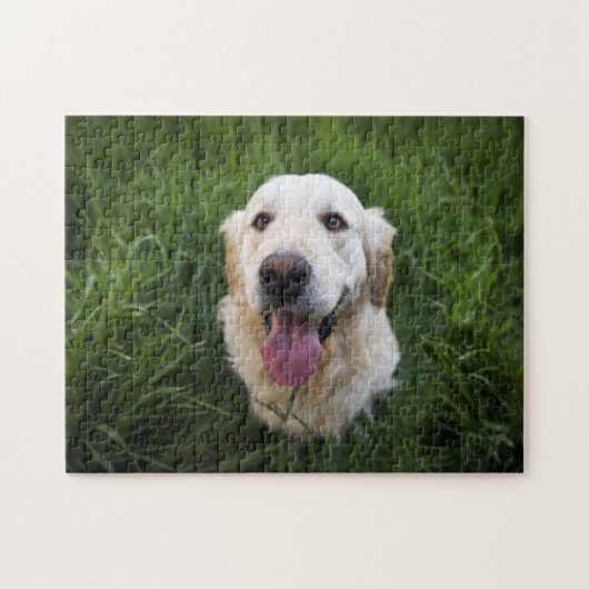 Lächelnd Golden Retriever Puzzle (Horizontal)