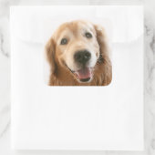 Lächelnd Golden Retriever Quadratischer Aufkleber (Tasche)