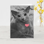 Lächelnd Katze Valentine Karte (Gelbe Blume)