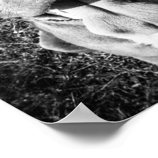 Lächelnd PitBull Poster (Ecke)