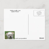 Lächelnd Poodle-cross Postcard Postkarte (Rückseite)