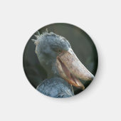 Lächelnd Shoebill Magnet (Vorne)