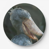 Lächelnd Shoebill Pappteller (Vorderseite)