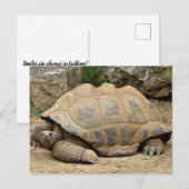 Lächelnd Tortoise Danke Karte (Vorne/Hinten)