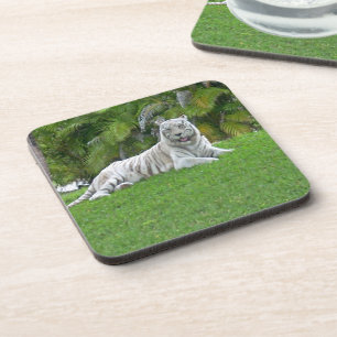 Lächelnd weiße Tiger und Palmen Untersetzer