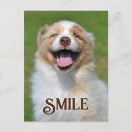 Lächelnd Welpe Hund Funny Animal Smile Postkarte