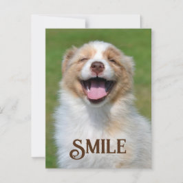 Lächelnd Welpe Hund Funny Animal Smile Postkarte