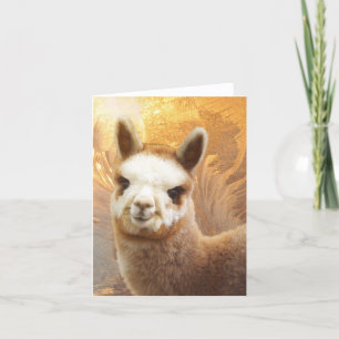 Lächelnde Alpaca-Karte Karte