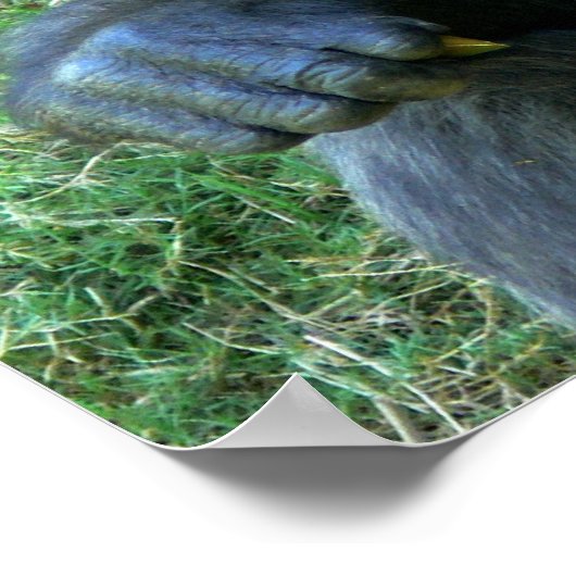 Lächelnde Ape Poster (Ecke)