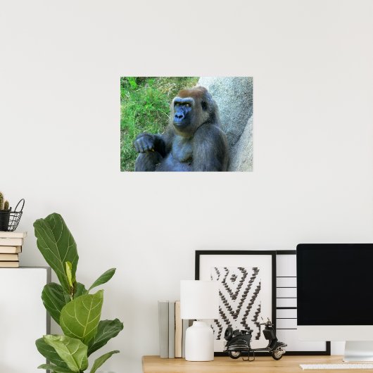 Lächelnde Ape Poster (Heimbüro)