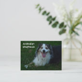 Lächelnde australische Schäfer-Visitenkarte Visitenkarte (Stehend Vorderseite)