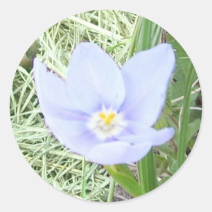 Lächelnde Blue Wildblume Stickers